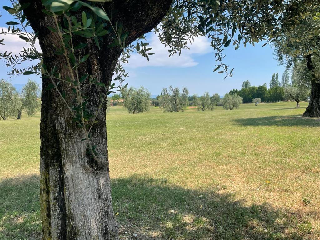 Garda Golf Country Chic Home โซยาโน เดล ลาโก ภายนอก รูปภาพ